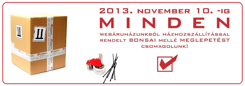bonsai webaruha bonsai akcioja a marczika bonsai studioban